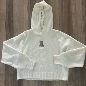 Hollister bear hooded sweater